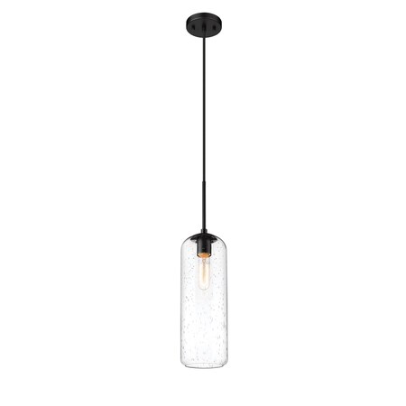 Z-Lite Monty 1 Light Pendant, Matte Black And Seedy 738P22-MB